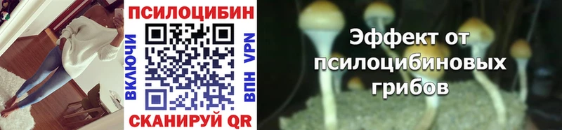 Галлюциногенные грибы Psilocybe  Себеж 